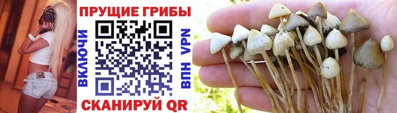 Галлюциногенные грибы мухоморы  Ессентуки 